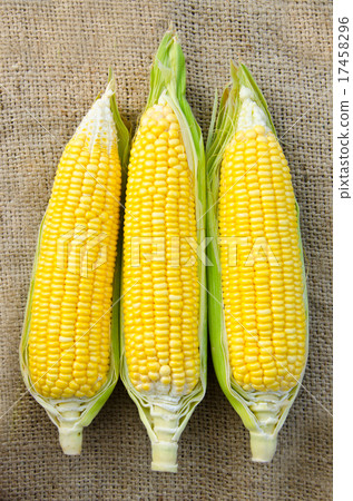 Grains of ripe corn Grains of ripe corn 17458296