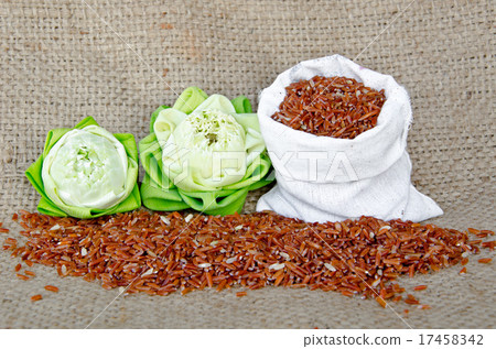 Raw brown rice and lotus flower Raw brown rice and lotus flower 17458342