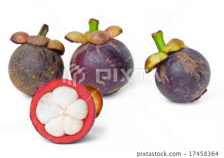 Mangosteen Mangosteen 17458364