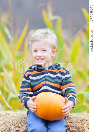 kid at pumpkin patch 17459143