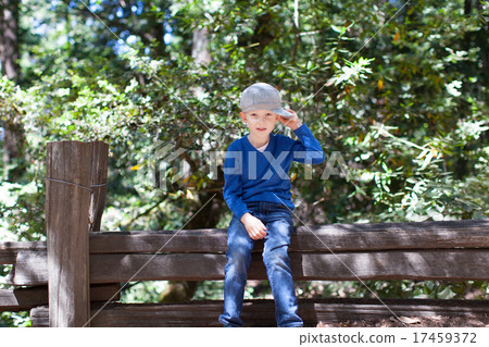 boy in forest 17459372