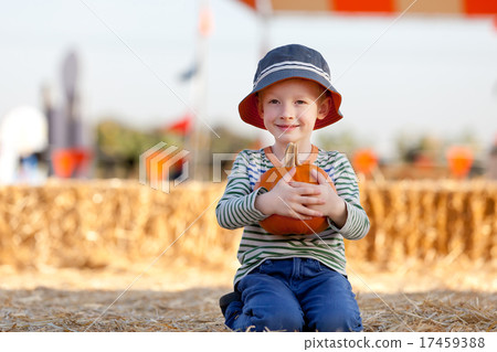 kid at pumpkin patch kid at pumpkin patch 17459388