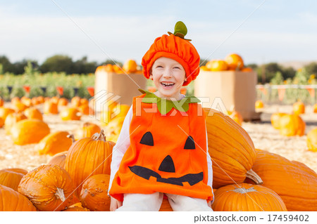 kid at pumpkin patch kid at pumpkin patch 17459402