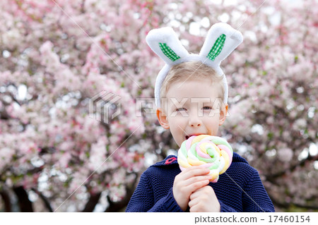 spring time 17460154