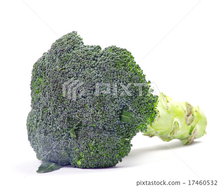 broccoli 17460532