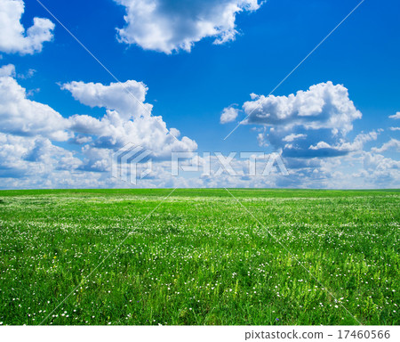 green field green field 17460566