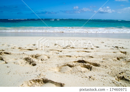 sea sea 17460971