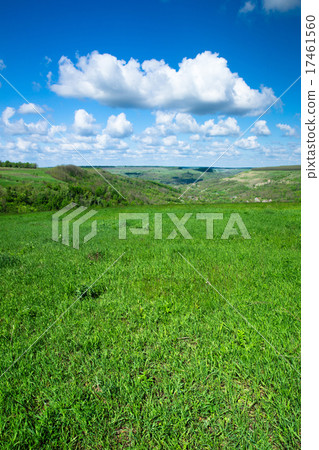 green field green field 17461560