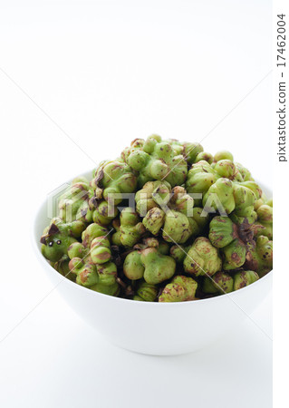 Mata Tabi Mata Tabi 17462004