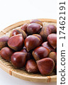 Chestnut  17462191