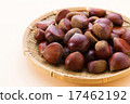 Chestnut  17462192