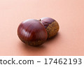 Chestnut  17462193