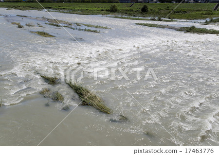 Tamagawa Raising Typhoon Tamagawa Raising Typhoon 17463776