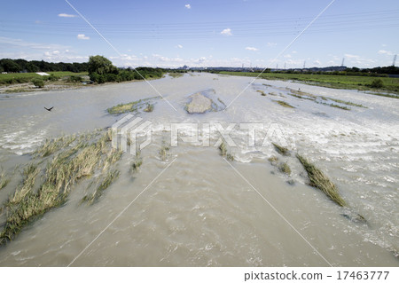 Tamagawa Raising Typhoon Tamagawa Raising Typhoon 17463777