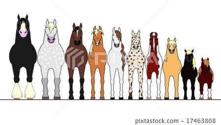 Horse fronted lined side 17463808