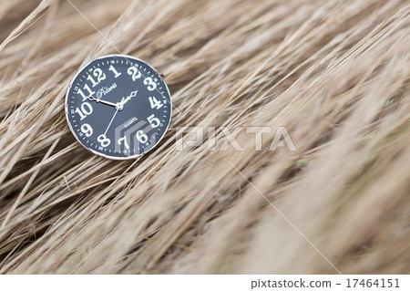 時鐘錶盤 17464151