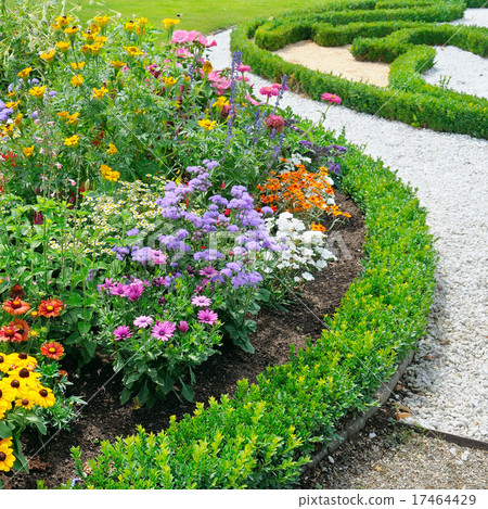 beautiful background of bright garden flowers 17464429