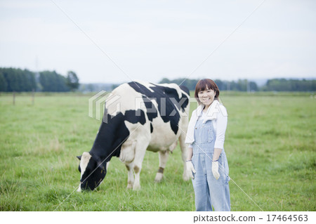 A woman working in a farm A woman working in a farm 17464563