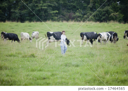 工作在農場的婦女 工作在農場的婦女 17464565