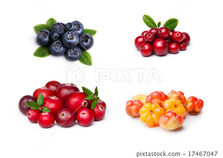 Wild northern berries 17467047