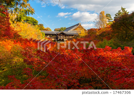 Tofukuji寺廟橋樑秋葉 Tofukuji寺廟橋樑秋葉 17467306