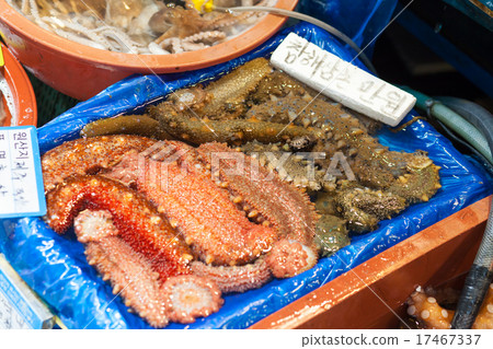 Sea cucumbers at fish market in Seoul Sea cucumbers at fish market in Seoul 17467337