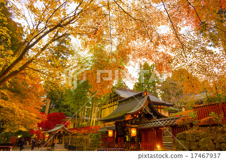 Zuiho,“Zuiho的秋天” Zuiho,“Zuiho的秋天” 17467937