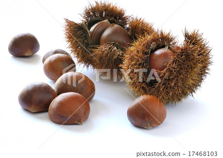 Chestnut meat and white chestnut white background 17468103