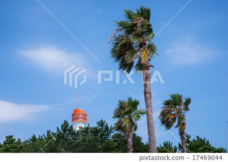 海風公園和觀察塔 17469044