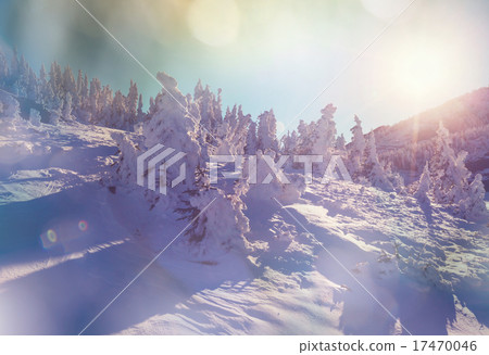 Winter mountains Winter mountains 17470046