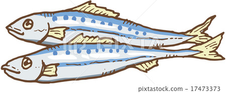 沙丁魚 沙丁魚 17473373