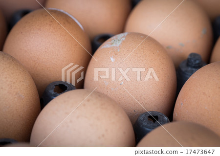 fresh organic eggs from chicken farm agriculture fresh organic eggs from chicken farm agriculture 17473647