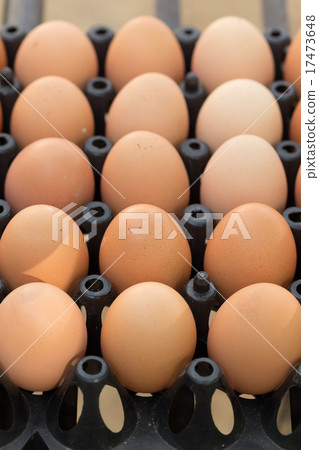 fresh organic eggs from chicken farm agriculture 17473648