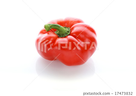 pepper on white background pepper on white background 17473832