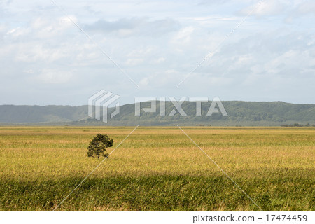 釧路在秋天停泊 17474459