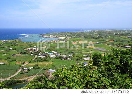 View from the castle ruins of the theory View from the castle ruins of the theory 17475110