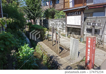 Takanomichi promenade in Kokubunji, Tokyo 17475234