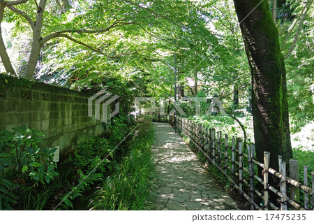 Takanomichi promenade in Kokubunji, Tokyo Takanomichi promenade in Kokubunji, Tokyo 17475235
