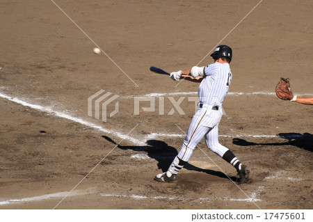 完美的本壘打 17475601