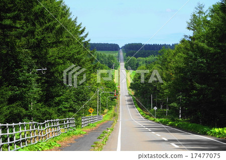 September North No. 19 Road 01 Hokkaido 17477075