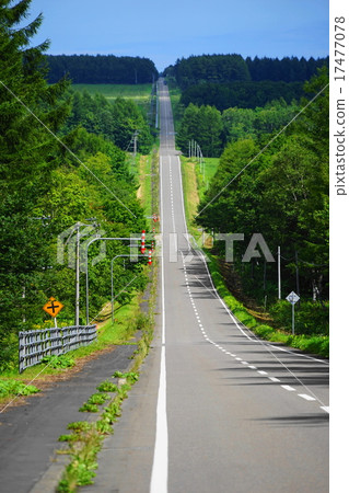 北海道九月北路19号 图库照片