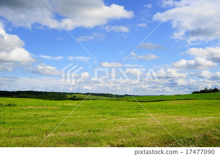 September Hokkaido ranch 08 17477090