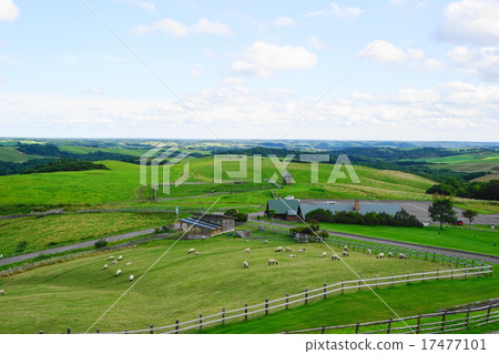 9月多和平觀察11 Shibecha Town Foster Ranch 17477101