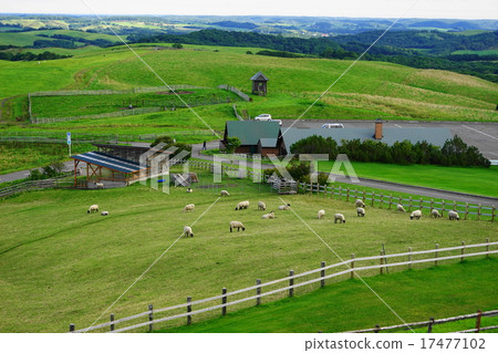 9月多和平觀察12 Shibecha Town Foster Ranch 17477102