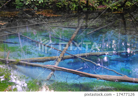 September God's Pond Pond 03 Submerged water of Mashuho September God's Pond Pond 03 Submerged water of Mashuho 17477126