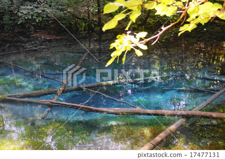九月神池塘池塘Mashuu湖噴泉 九月神池塘池塘Mashuu湖噴泉 17477131