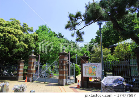 Silkamori no Mori Park 17477697