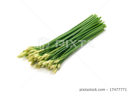 Garlic flowers 17477771