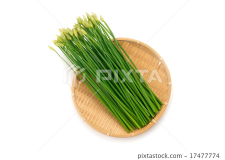 大蒜花 17477774
