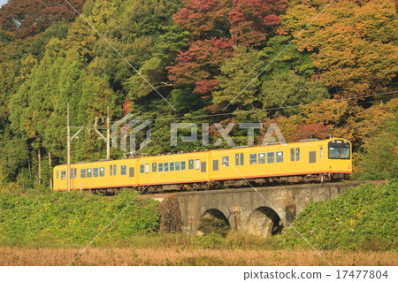 Northern Line Train going a glasses bridge with autumn leaves back Northern Line Train going a glasses bridge with autumn leaves back 17477804